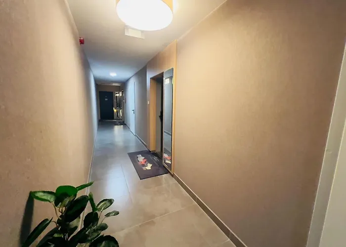 Karzo Lk 205 Free Garage Apartament Budapesta